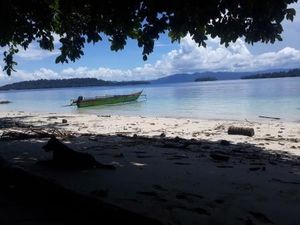 Miliki Taman Laut Terluas di Indonesia, Yuk Kenali Teluk Cenderawasih