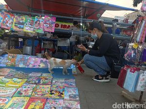 Berbagi Cinta Lewat Segenggam Makanan untuk Kucing Jalanan di Karawang