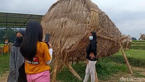 Foto: Saat Jerami Sisa Panen Jadi Karya Seni