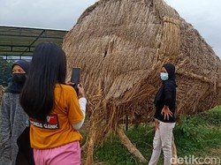 Sungguh Kreatif, Petani Banjarnegara Sulap Jerami jadi Karya Seni