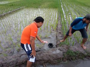 Petani di Mojokerto Tewas Tersambar Petir Petani di Mojokerto Tewas Tersambar Petir