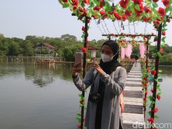 Pesona Wisata Hits Baru di Jepara, Hutan Mangrove Glagah Wangi