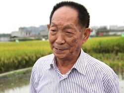 Yuan Longping, Bapak Padi Hibrida Dunia Tutup Usia