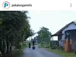 Panik Nggak! Viral Pemotor Pekalongan Freestyle Berujung Nyungsep