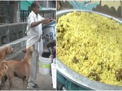 Mulia! Pria Ini Masak Nasi Biryani Ayam Untuk Beri Makan Kucing dan Anjing Liar