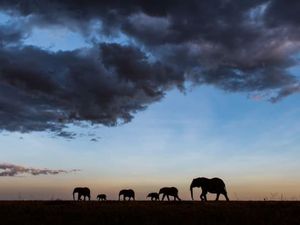 Foto New Big 5, Jangan Buru Mereka!