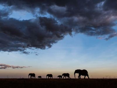 Foto New Big 5, Jangan Buru Mereka!