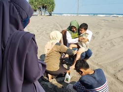 Selama Weekend, 50 Wisatawan Jadi Korban Sengatan Ubur-ubur di Parangtritis