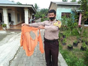 Bikin Geger Sumut, Begini Asal Mula Cerita Kolor Ijo