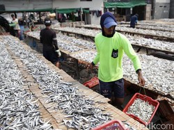 Meninjau Ulang Privatisasi Lumbung Ikan Nasional
