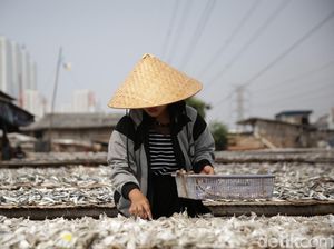 Pertamina SMEXPO Genjot Pemasaran-Nilai Jual Abon Ikan Asin Layur