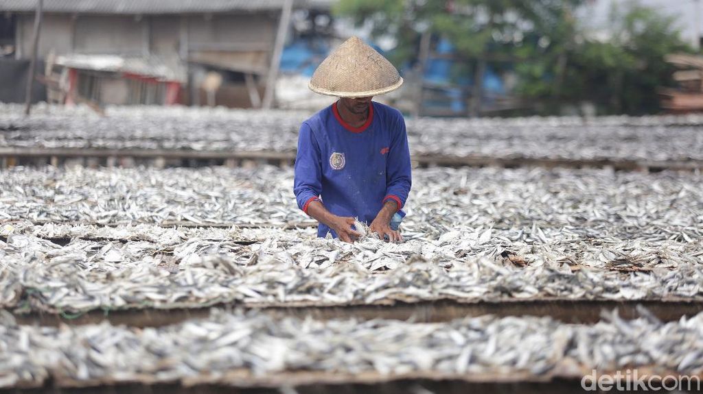 Realisasi Dana PEN Tembus Rp 172 T, Sektor Kesehatan Masih Loyo Realisasi Dana PEN Tembus Rp 172 T, Sektor Kesehatan Masih Loyo