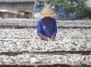 Realisasi Dana PEN Tembus Rp 172 T, Sektor Kesehatan Masih Loyo Realisasi Dana PEN Tembus Rp 172 T, Sektor Kesehatan Masih Loyo