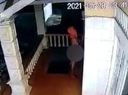 Kesaksian Warga Sempat Kejar Kolor Ijo yang Bikin Geger di Langkat Sumut