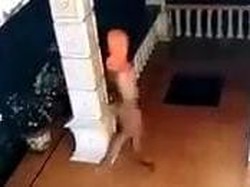 Perjalanan Kasus Kolor Ijo Sumut hingga Penangkapan Pelaku