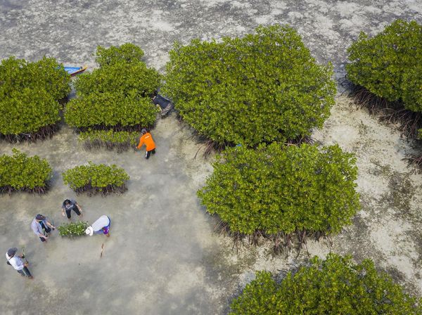 Sinergi Warga Jaga Lingkungan di Pulau Harapan