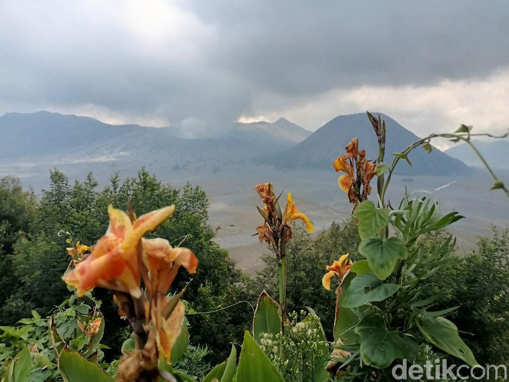 Simak Status Gunung Api Jawa Timur, Semeru Siaga hingga Bromo Waspada Simak Status Gunung Api Jawa Timur, Semeru Siaga hingga Bromo Waspada