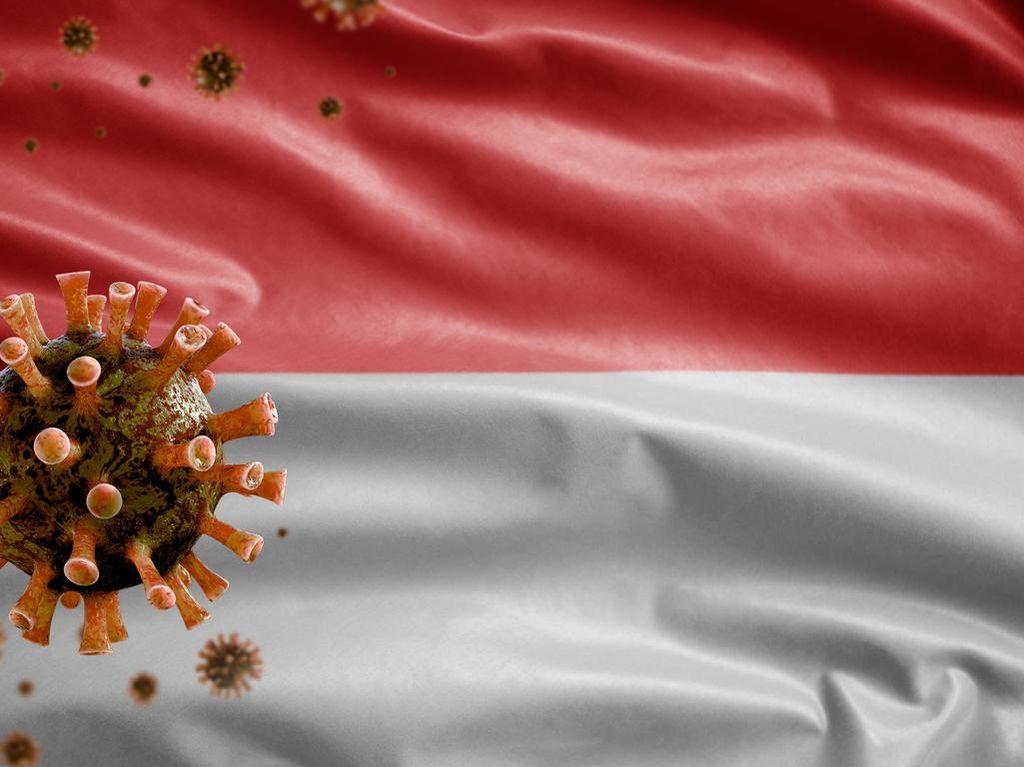 RI Sudah Punya 54 Kasus Varian Ganas Corona, 19 Kasus Penularan Lokal RI Sudah Punya 54 Kasus Varian Ganas Corona, 19 Kasus Penularan Lokal