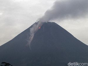 Gunung Merapi 6 Kali Luncurkan Awan Panas Dalam 12 Jam Gunung Merapi 6 Kali Luncurkan Awan Panas Dalam 12 Jam