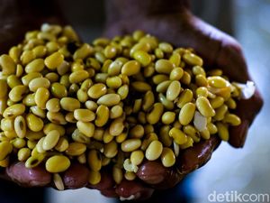 Naik-Turun Harga Sembako Jogja Sepekan Ini 2-7 Desember 2024 Naik-Turun Harga Sembako Jogja Sepekan Ini 2-7 Desember 2024