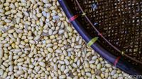 Harga Kedelai Naik, Begini Dampaknya ke Pabrik Tahu