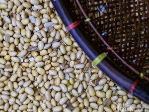 Harga Kedelai Naik, Begini Dampaknya ke Pabrik Tahu Harga Kedelai Naik, Begini Dampaknya ke Pabrik Tahu