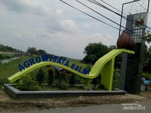 Jika ke Bojonegoro, Cobalah ke Kebun Salak di Taman Maha Dewi