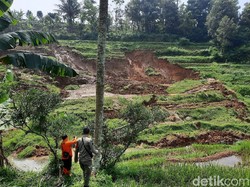 Longsor dan Pergerakan Tanah di Cianjur, Sawah Rusak-31 Jiwa Terancam