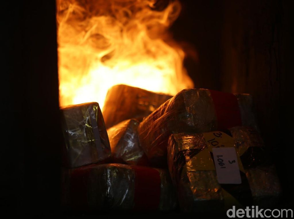 Momen BNN Musnahkan Barbuk Narkoba Hasil Kejahatan Momen BNN Musnahkan Barbuk Narkoba Hasil Kejahatan