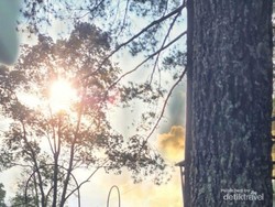 Rekomendasi Cafe dan Tempat Kuliner Hits di Bogor