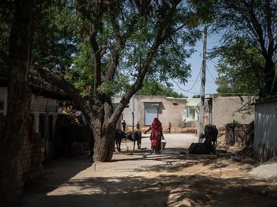 Tsunami COVID-19 di India Merangsek Hingga ke Pedalaman