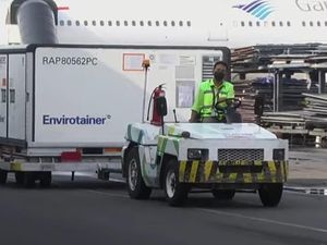 Kedatangan 8 Juta Bulk Vaksin COVID-19 Sinovac di RI Hari Ini Kedatangan 8 Juta Bulk Vaksin COVID-19 Sinovac di RI Hari Ini