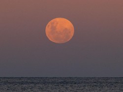 Fenomena Full Moon dan Perige Juni 2023, Simak Penjelasan BMKG