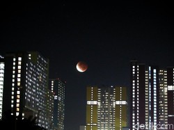 Gawat! Ada Ribuan Hotel di Jakarta, Jenuh, dan Banyak yang Dijual