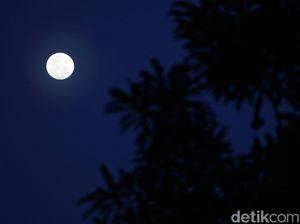 Melihat Keindahan Bulan Saat Sore di Langit Jakarta