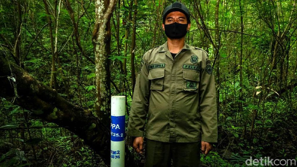 Potret Polisi Hutan Sang Penjaga Rimba Gunung Gede-Pangrango