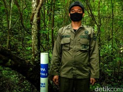 Mengenal Profesi Polisi Hutan, Sang Penegak Keadilan di Alam Rimba