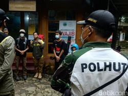 Hutan Harus Dijaga tapi Jumlah Polhut Sedikit, Berminat?