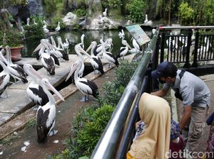 Libur Waisak Warga Serbu Ragunan