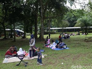 Sudah Rindu ke Taman di DKI Jakarta? Ragunan Cs Buka Akhir Pekan Ini
