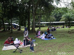 Sudah Rindu ke Taman di DKI Jakarta? Ragunan Cs Buka Akhir Pekan Ini