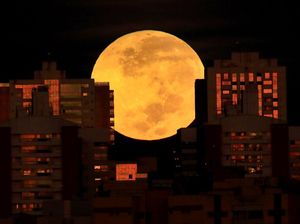 Wow, Begini Potret Super Blood Moon di Brasil