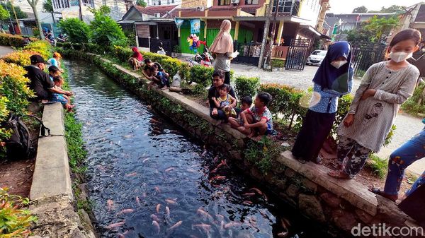 Disulap Jadi Kolam Ikan, Selokan di Pamulang Ramai Didatangi Warga