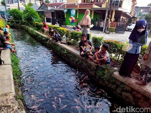 Disulap Jadi Kolam Ikan, Selokan di Pamulang Ramai Didatangi Warga Disulap Jadi Kolam Ikan, Selokan di Pamulang Ramai Didatangi Warga