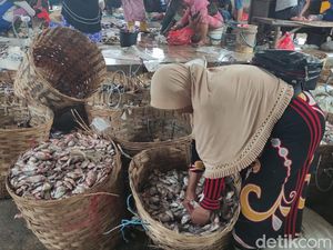 Miris, Harga Ikan di Lamongan Justru Terjun Bebas Saat Masa Panen