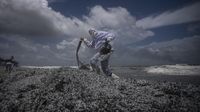 Limbah Kapal Kargo yang Terbakar Cemari Pantai Sri Lanka