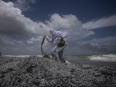 Limbah Kapal Kargo yang Terbakar Cemari Pantai Sri Lanka