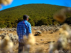 Mitos Gunung Gede Pangrango, Makam Raden Suryakencana, dan Istana Gaib
