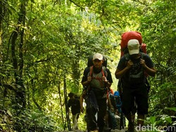 Wisata Konservasi Makin Disukai, 5 Juta Turis Berkunjung pada 2022