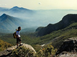 10 Fakta Gunung Gede Pangrango dan Daya Tariknya, Pendaki Wajib Tahu!